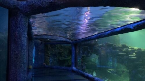 海中トンネル